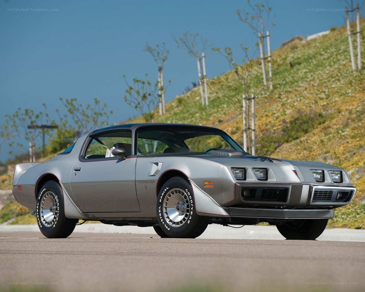 Silver Pontiac Firebird Trans Am