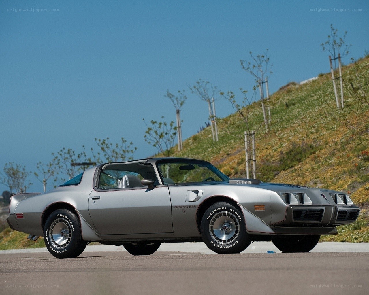 Silver Pontiac Firebird Trans Am