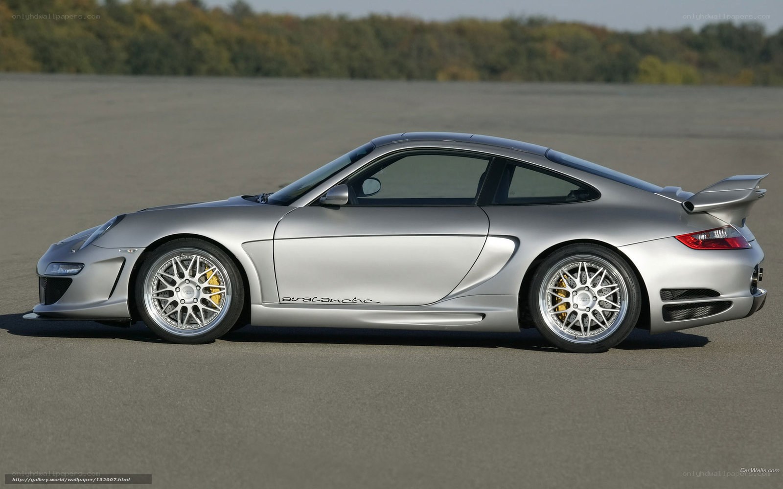 silver porsche 911 carrera