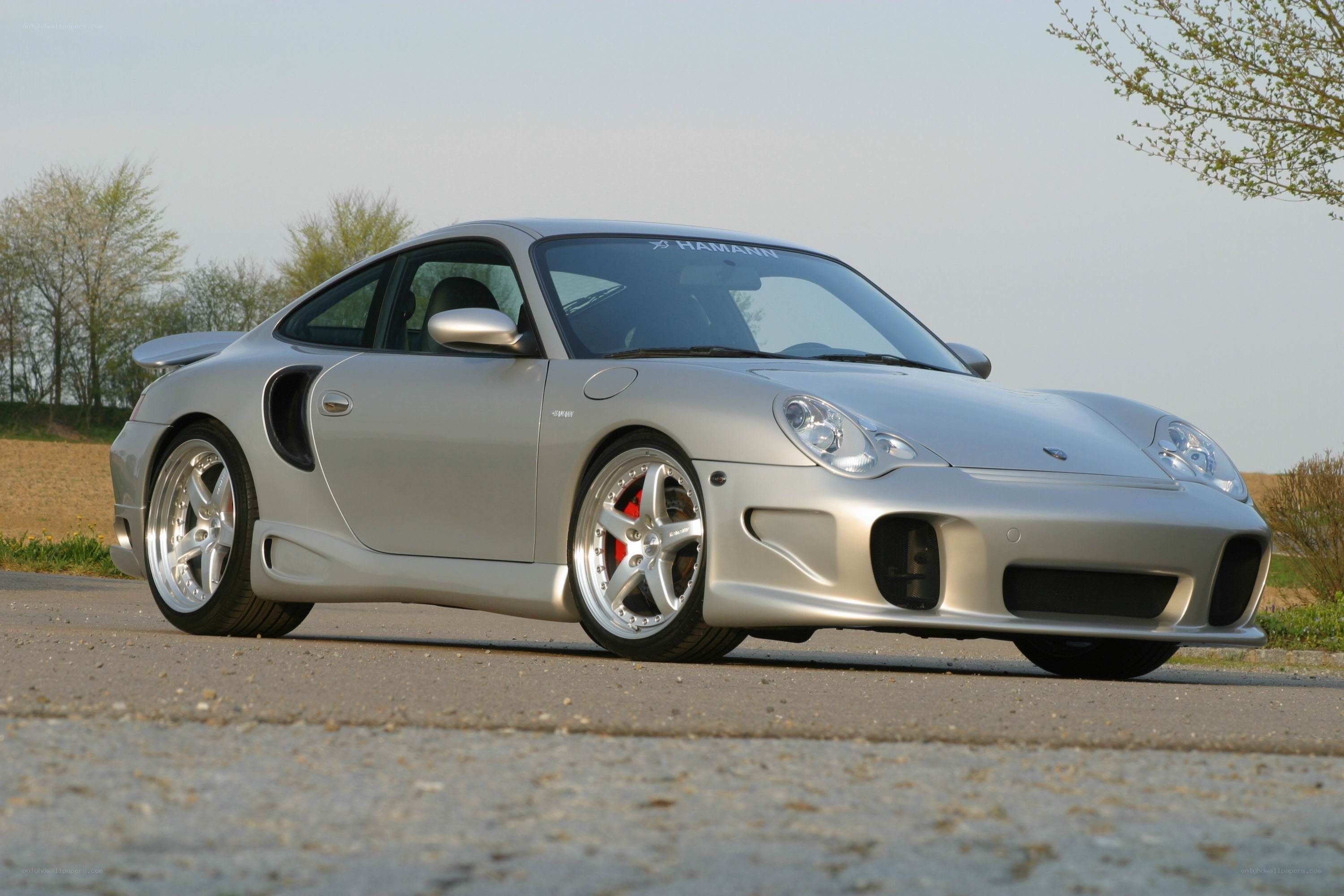 silver porsche 911 coupe