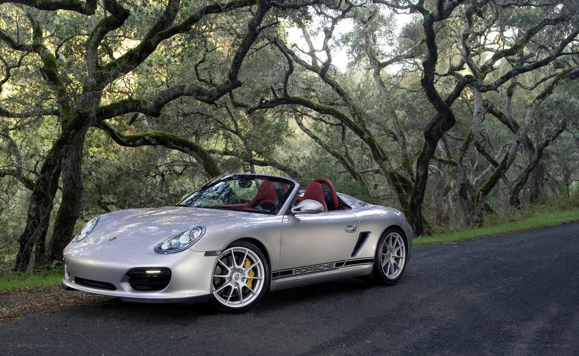 Silver Porsche Boxster on a forest road