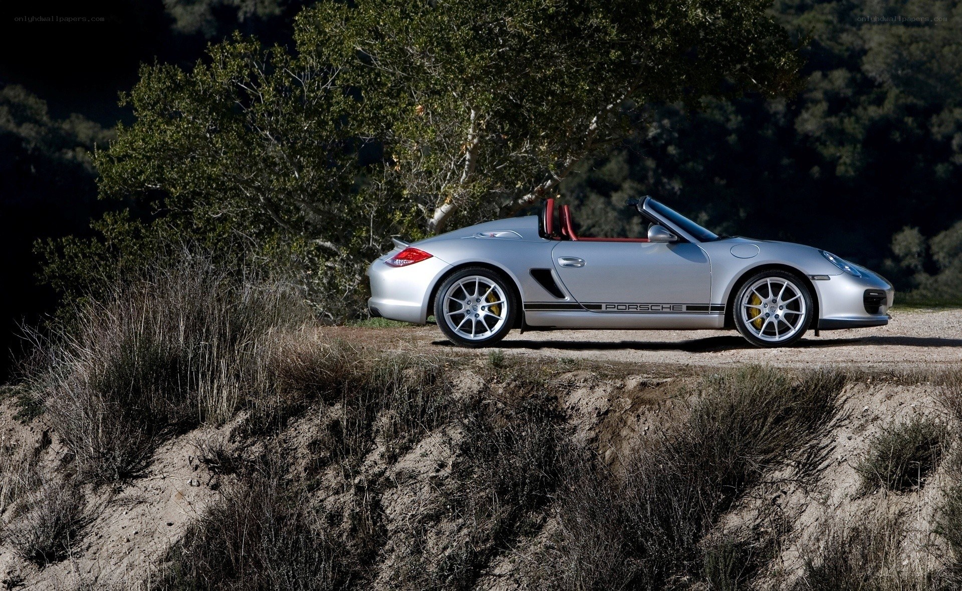 Silver Porsche Boxster on a hillside