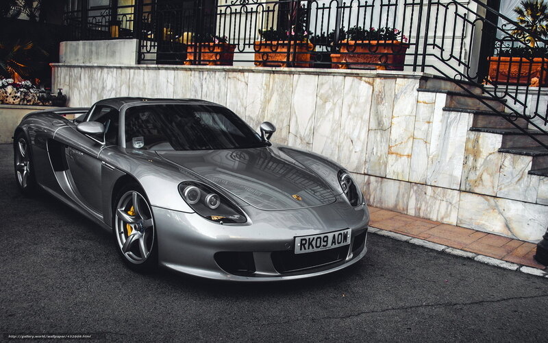 Silver Porsche Carrera Gt — Gray