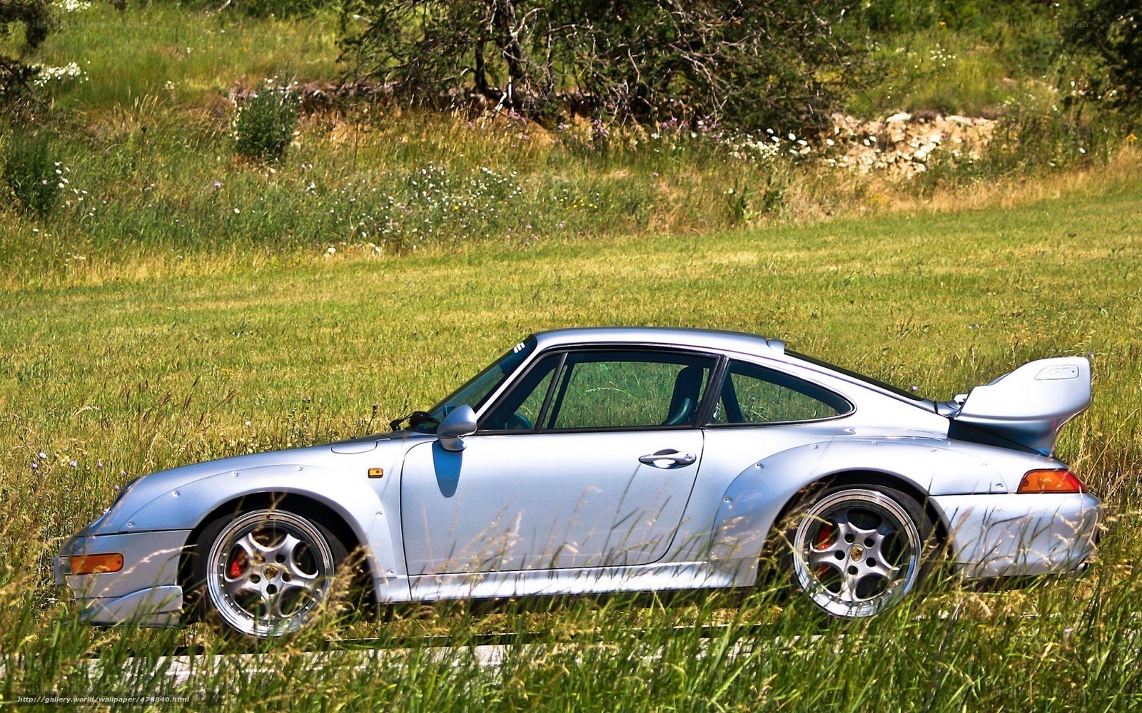 silver porsche in a field