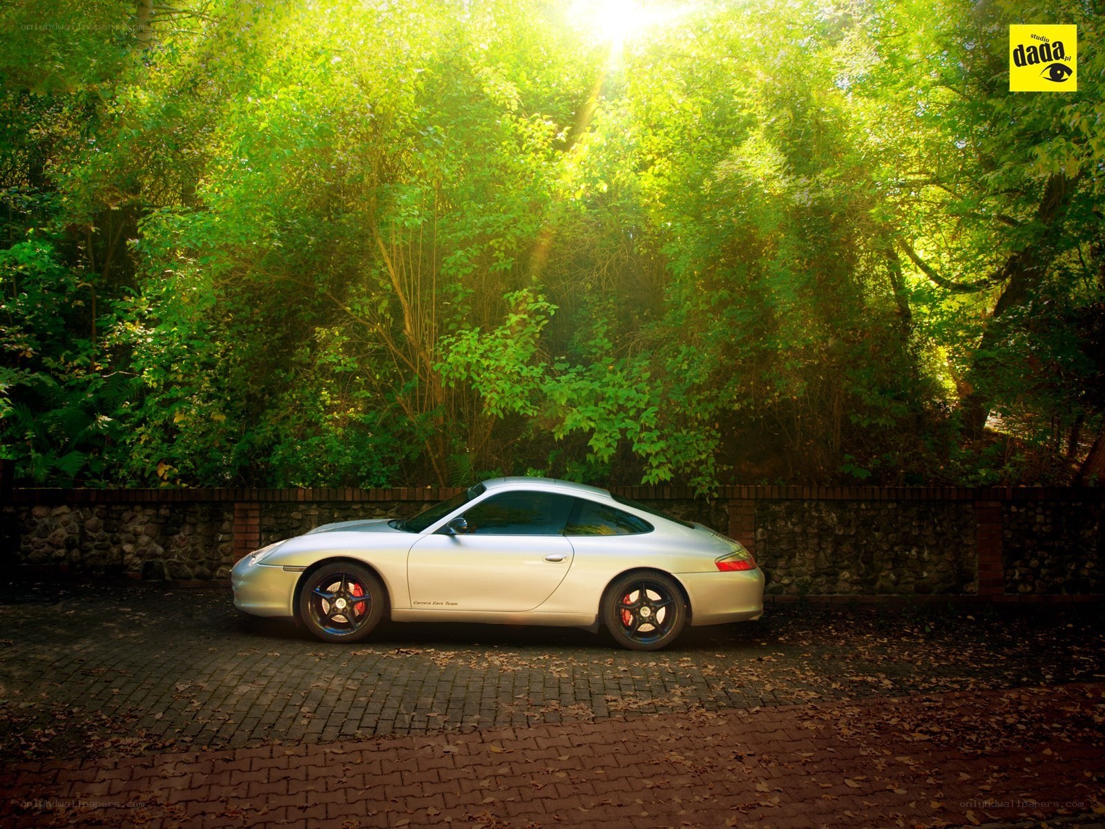 Silver Porsche in a sunlit forest