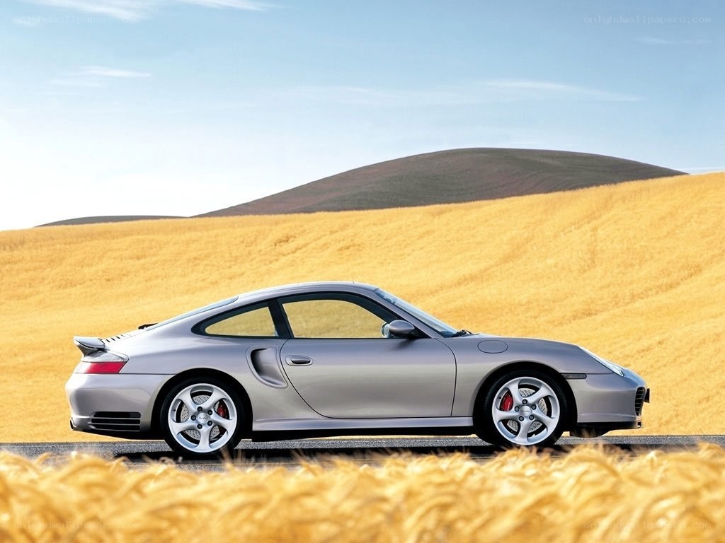 silver porsche in a wheat field