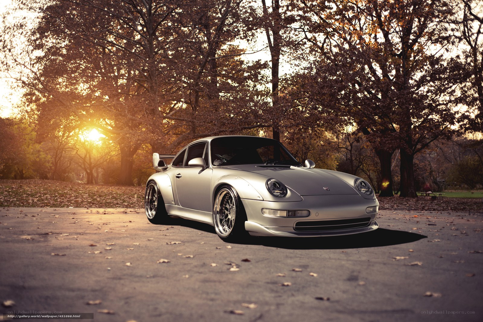 Silver Porsche in autumn park