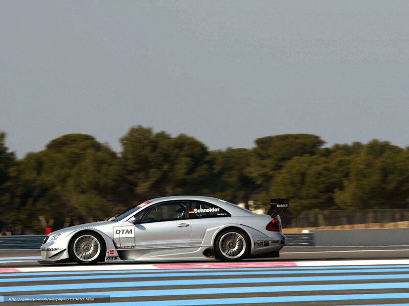 Silver Race Car — Dynamic, Afternoon, Photograph, Race Track, Trees