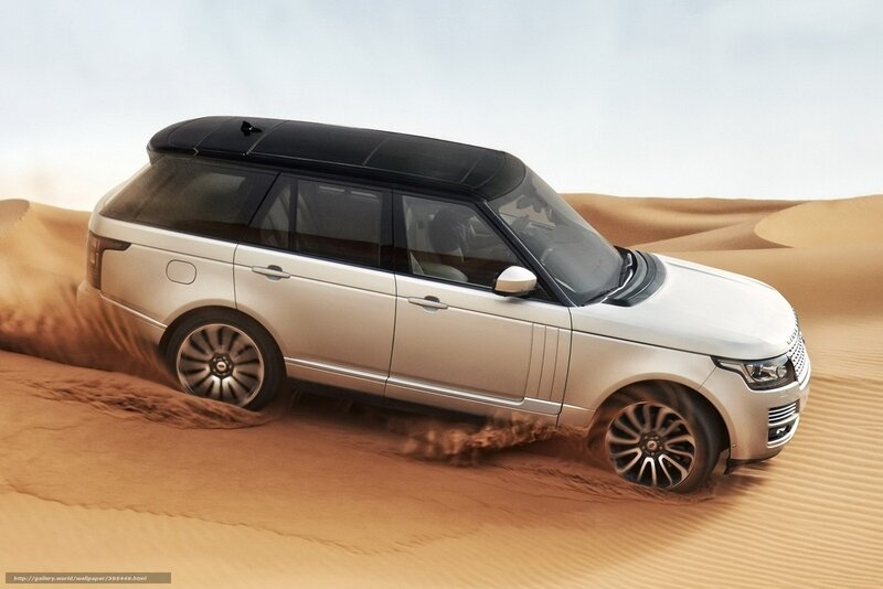 silver range rover in desert