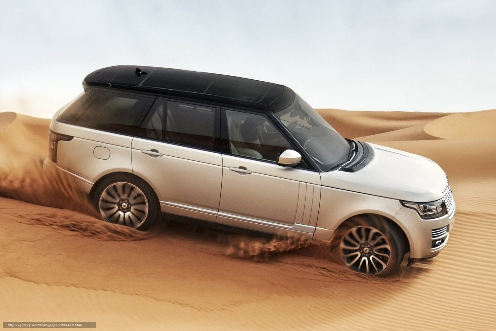 silver range rover in desert