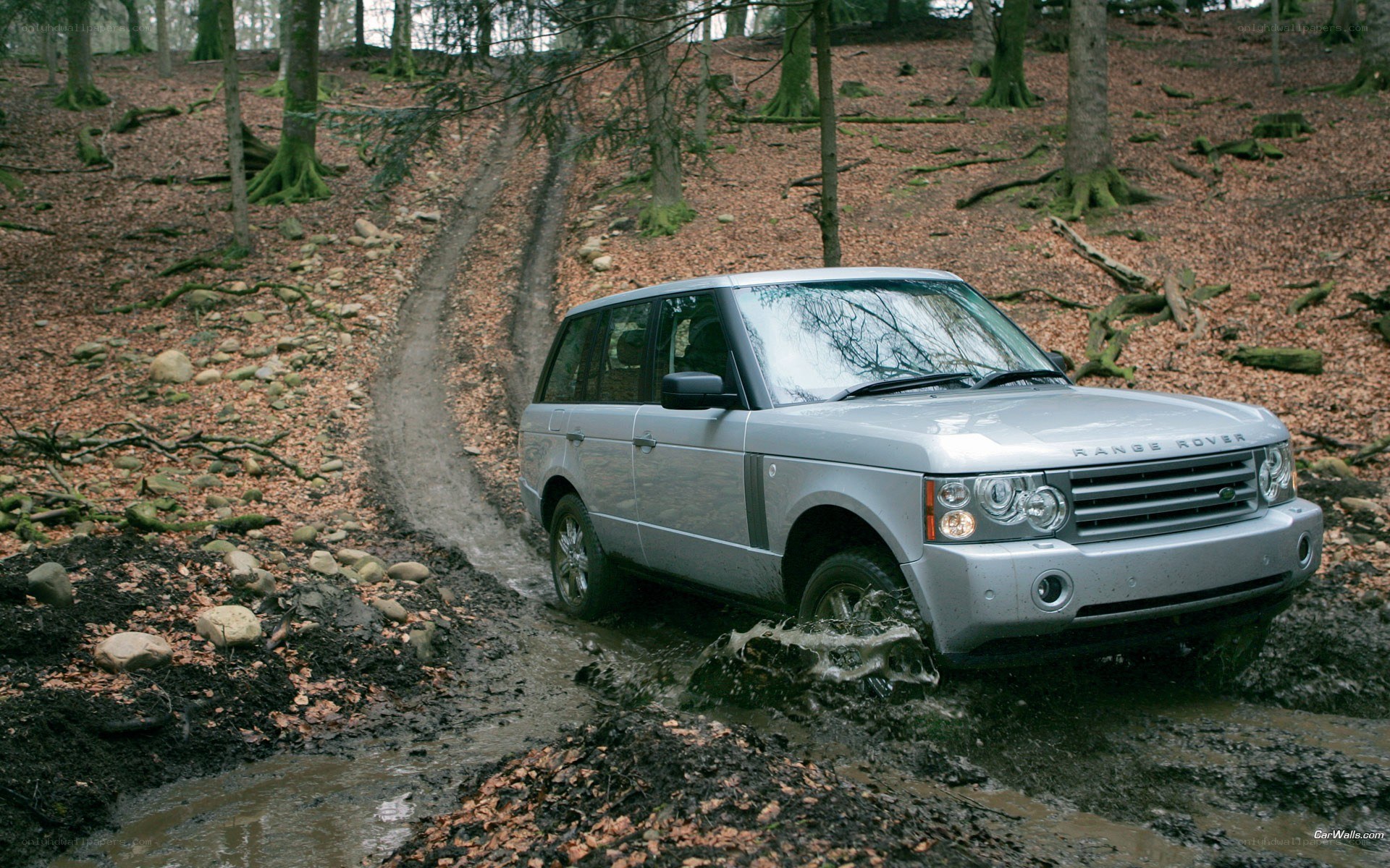 Silver Range Rover in muddy forest