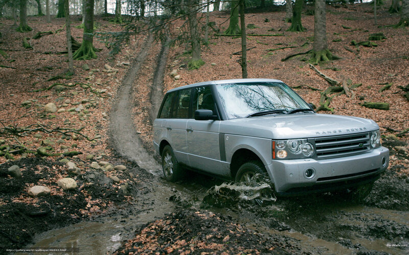 Silver Range Rover in muddy forest