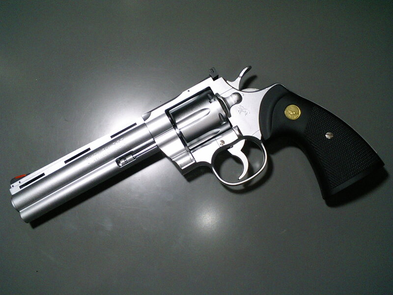 silver revolver with black grip