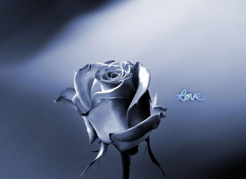 Silver Rose Flower