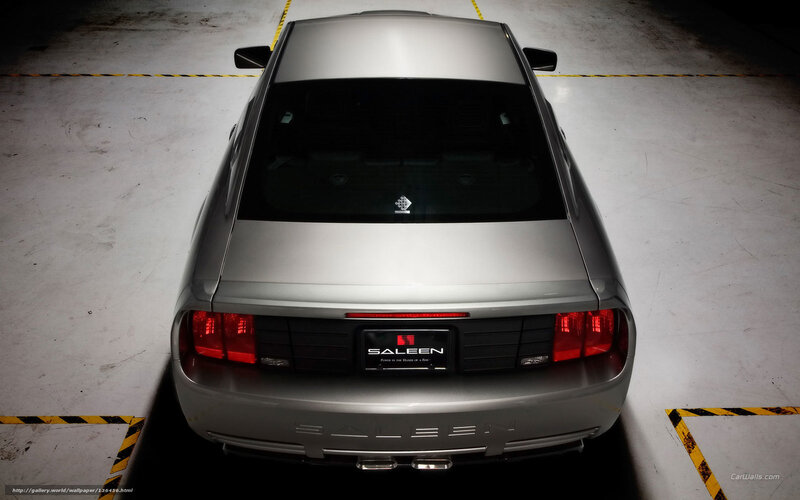 silver saleen car rear view