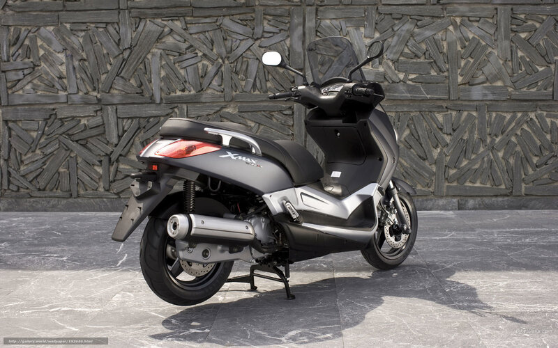 Silver Scooter — Gray, Neutral, Afternoon