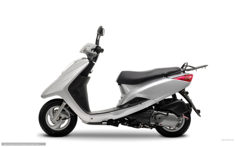 Silver Scooter — Neutral, Photograph, Seat, Taillight, Rear Rack