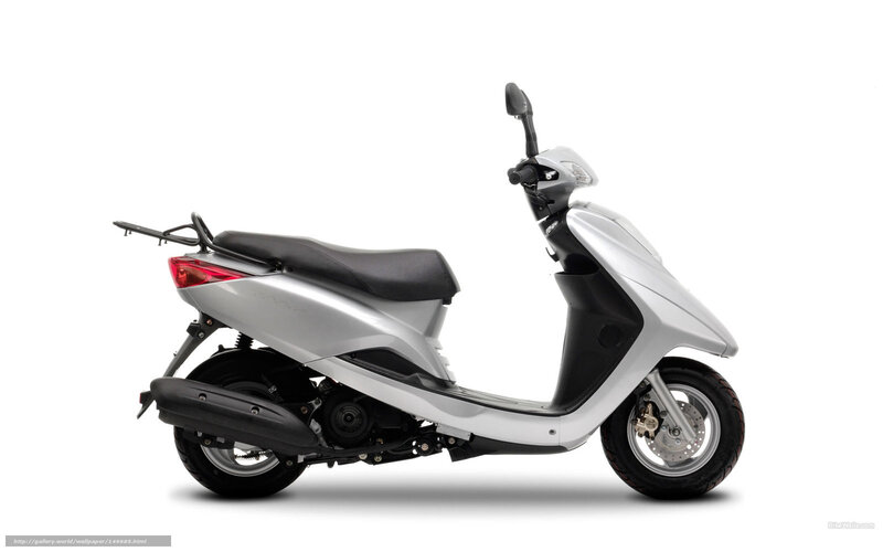 Silver Scooter — Neutral, Photograph, Seat, Taillight