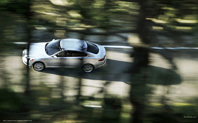 Silver Sedan Car — Dynamic, Afternoon, Photograph, Road, Trees