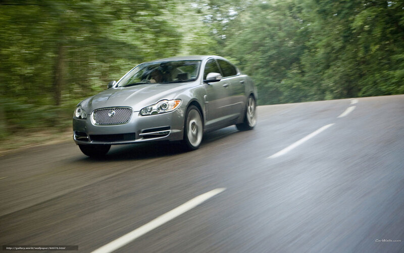 Silver Sedan Car — Gray, Dynamic, Photograph, Road, Trees, Driver