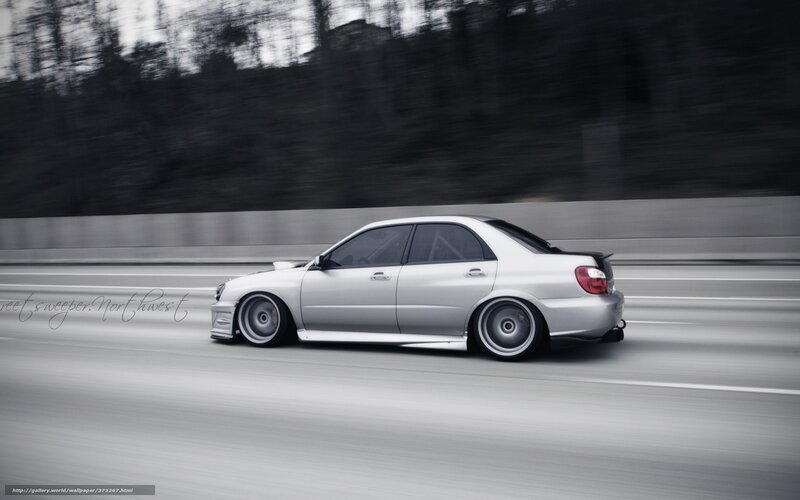 Silver Sedan Car — Gray, Dynamic, Photograph, Road, Trees