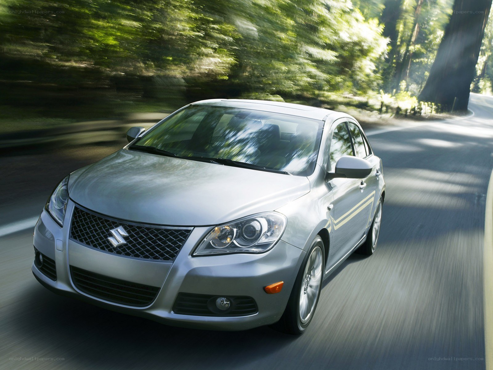 Silver sedan driving on forest road