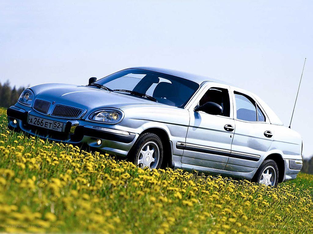 Silver sedan in a dandelion field