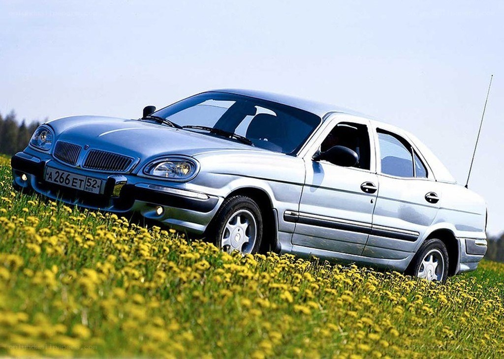 silver sedan in a field