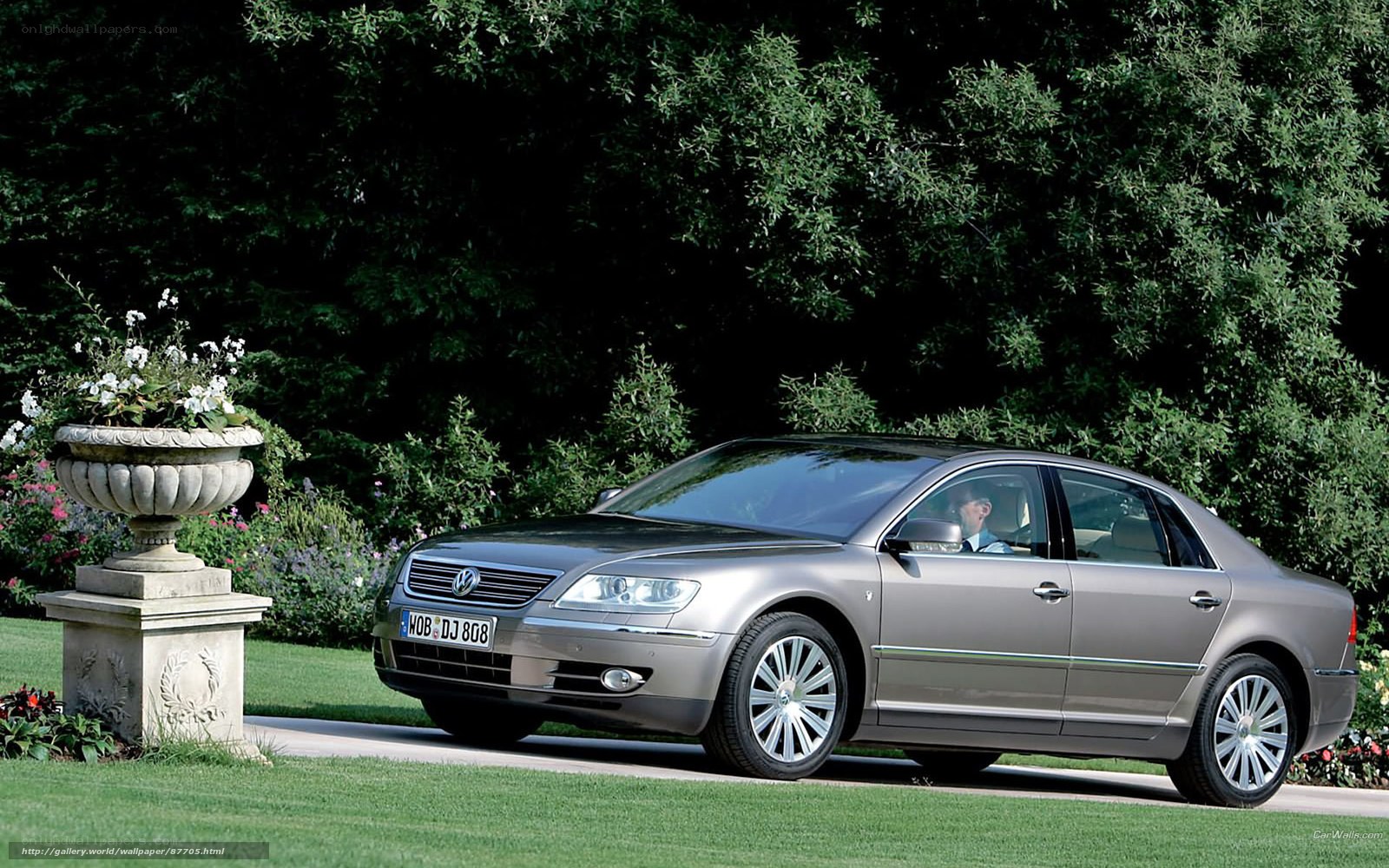 Silver sedan in garden