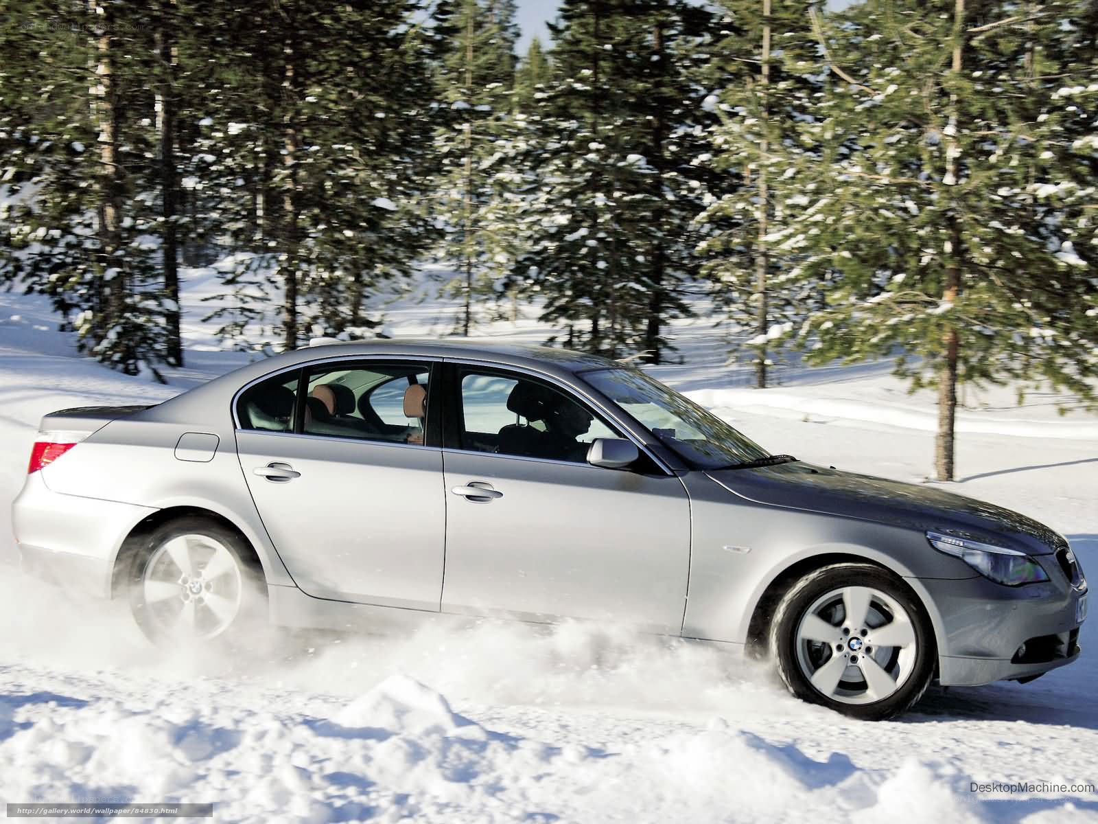 silver sedan in snowy forest