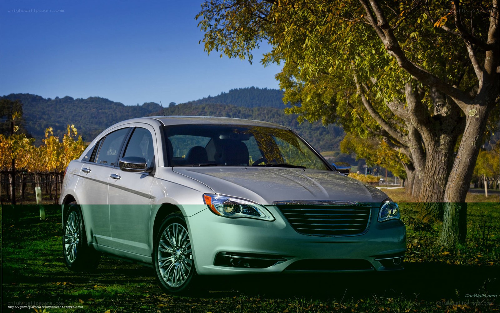 Silver sedan in vineyard