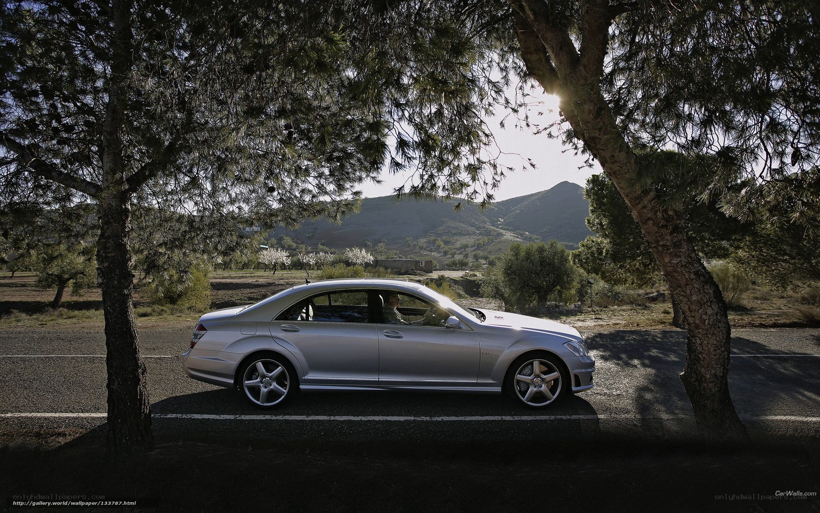 Silver sedan on a country road
