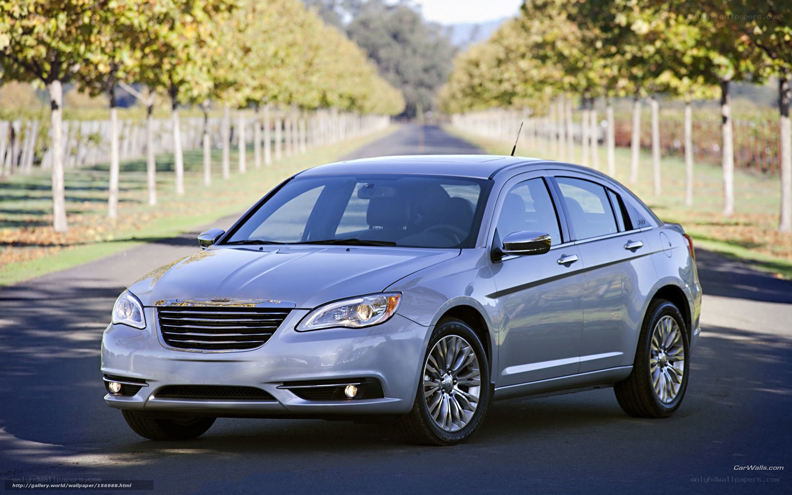 Silver sedan on a vineyard road