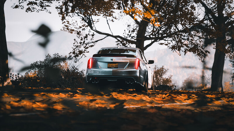 Silver Sedan on Leaf-covered Road