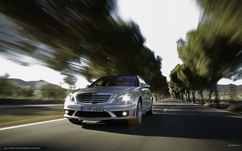 Silver Sedan on Road — Dynamic, Afternoon, Photograph, Car, Trees