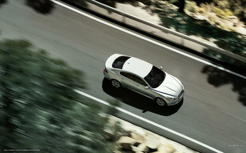 Silver Sedan on Road — Dynamic, Afternoon, Photograph