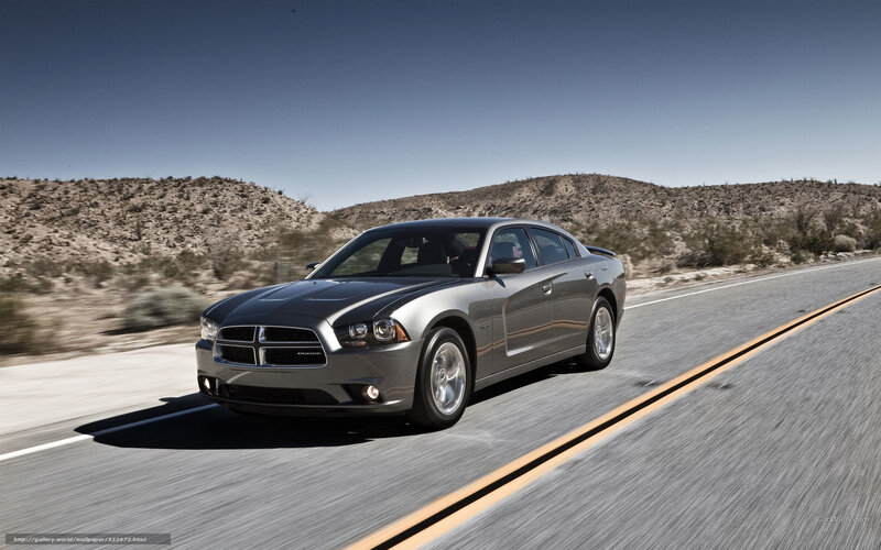 Silver Sedan on Road — Gray, Dynamic