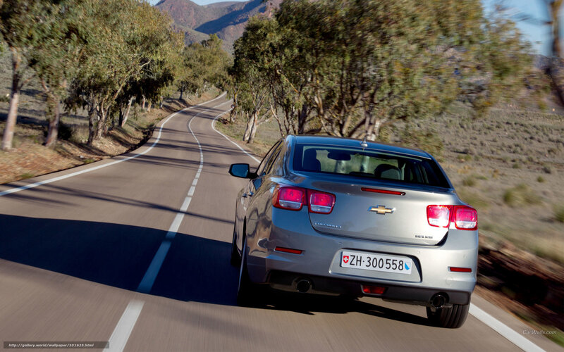 Silver Sedan on Road — Gray, Serene, Afternoon