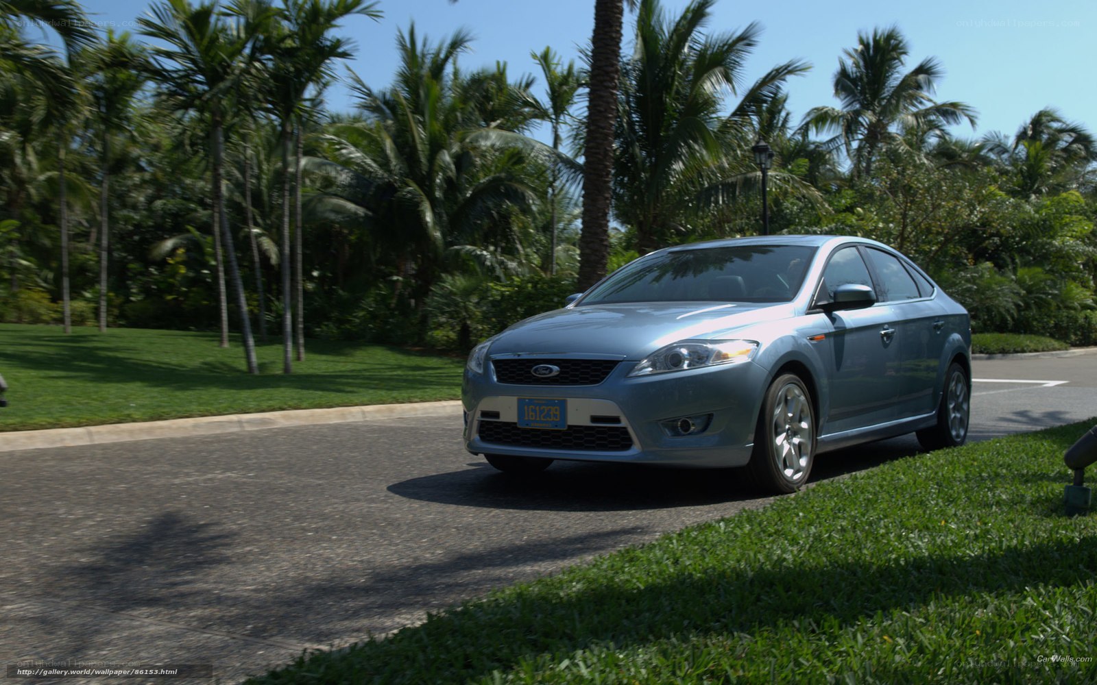 silver sedan on tropical road