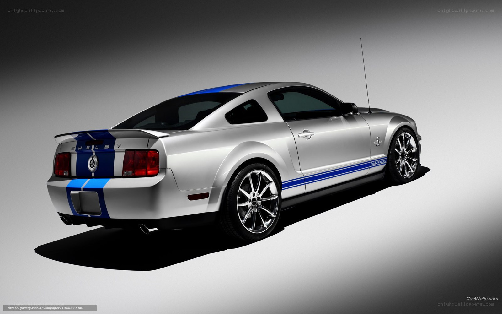 silver shelby mustang car
