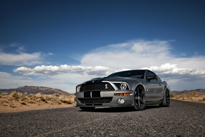 Silver Shelby Mustang — Gray, Dramatic, Afternoon