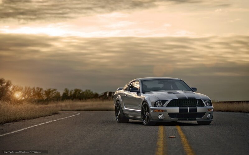 Silver Shelby Mustang — Gray, Dramatic