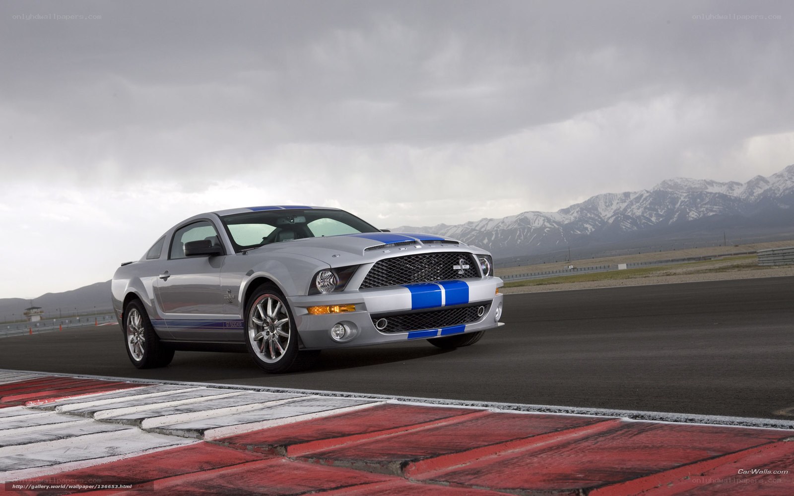Silver Shelby Mustang on racetrack