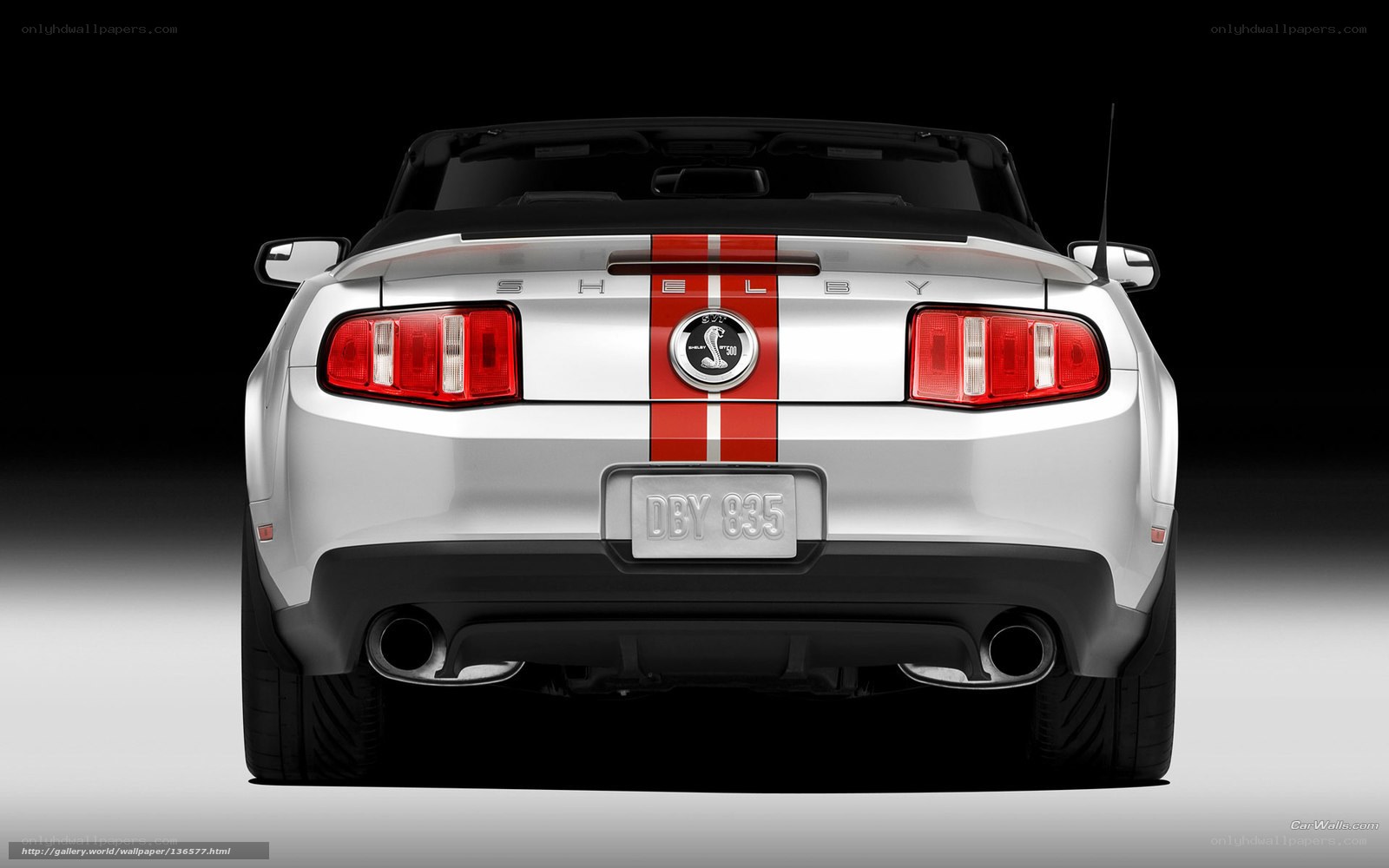 Silver Shelby Mustang rear view