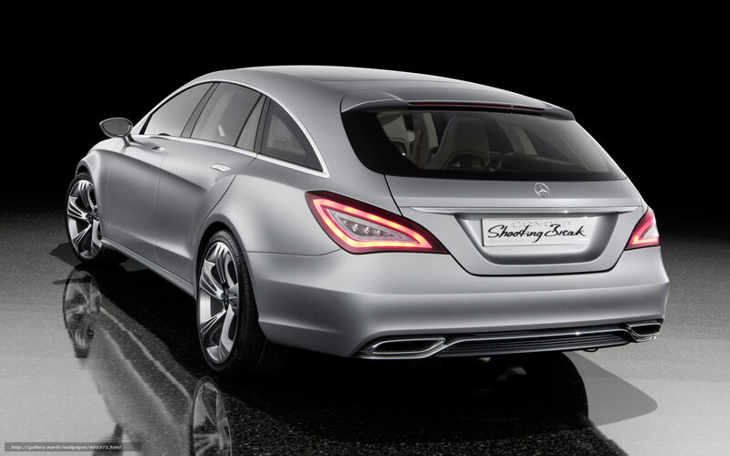 Silver Shooting Break Car