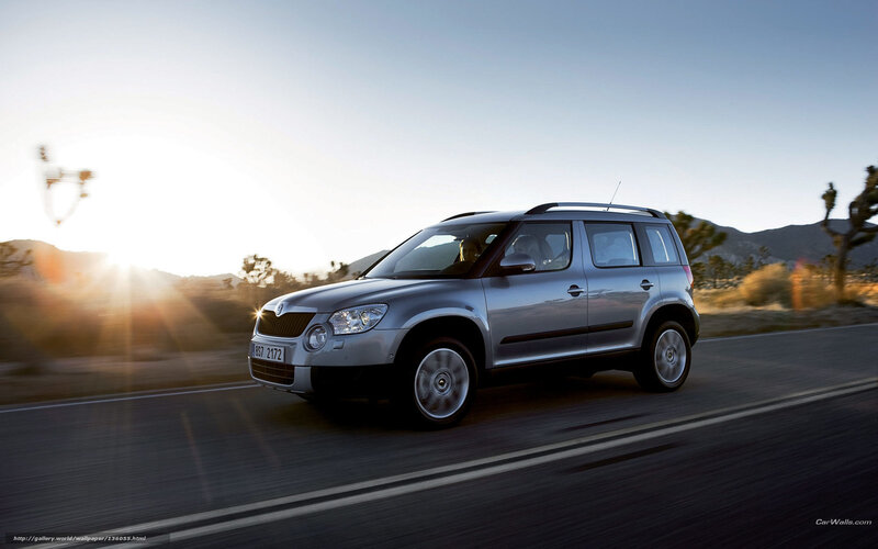 Silver Skoda Suv