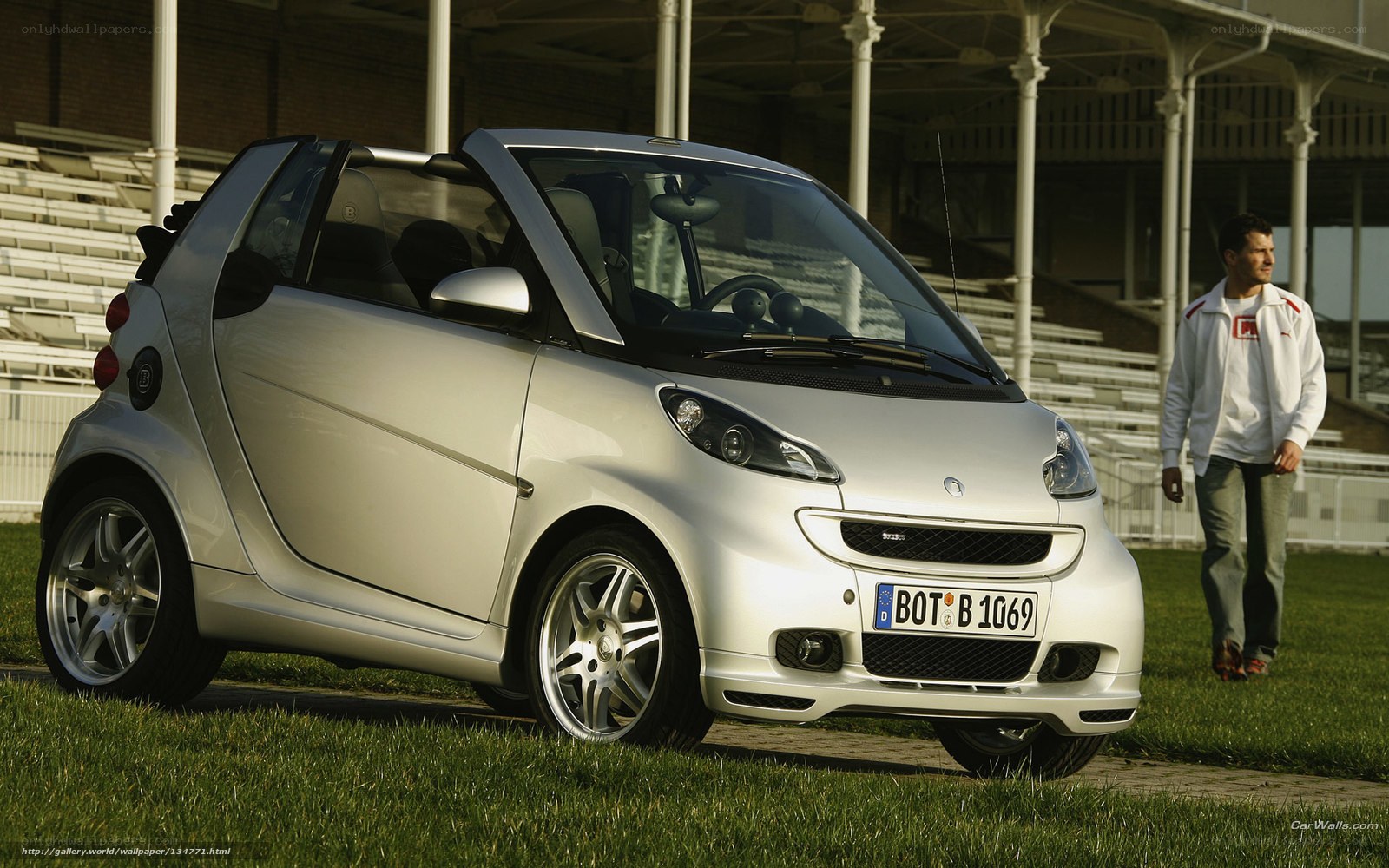 silver smart car on grass