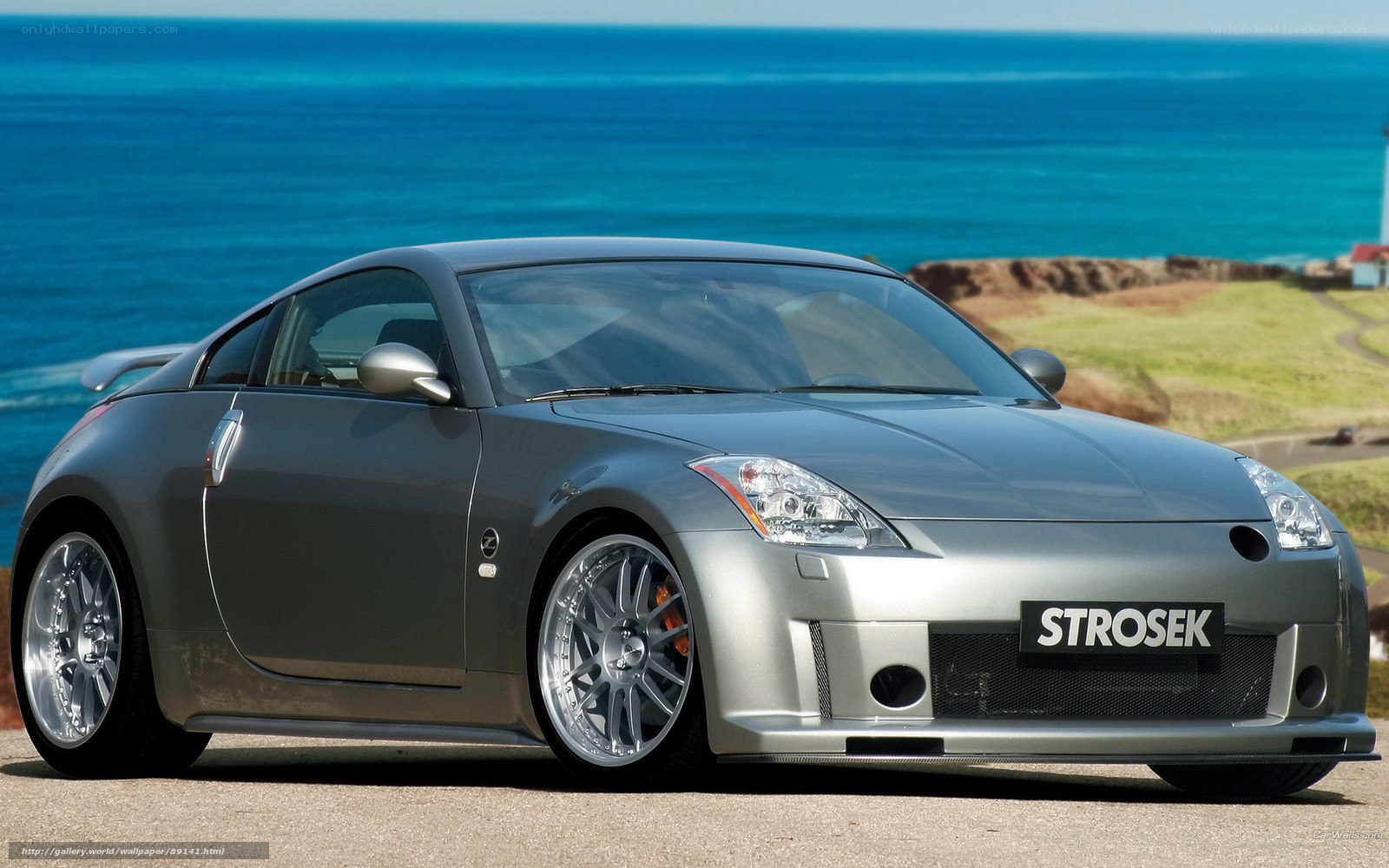 Silver sports car by the ocean