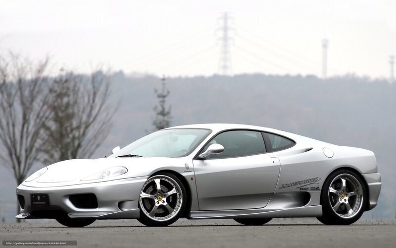 Silver Sports Car — Calm, Photograph, Trees