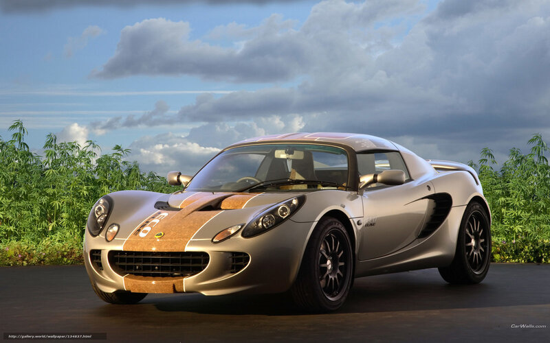 Silver Sports Car — Dramatic, Afternoon, Photograph, Plants